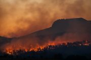 b_180_160_16777215_00_images_INCENDI_Foto_Matt_Palmer_su_Unsplash.jpg