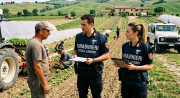 b_180_160_16777215_00_images_Ispezioni_Carabinieri_-_Immagine_FAI_CISL_realizzata_con_ausilio_IA.png