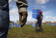 b_180_160_16777215_00_images_CAPORALATO_MANO_NERA_E_TERRA.jpg