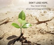 b_180_160_16777215_00_images_CONCETTI_NEVER_LOSE_HOPE.jpg