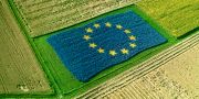 b_180_160_16777215_00_images_EUROPA_politica-agricola-comune_550_2751_1.jpg