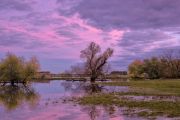 b_180_160_16777215_00_images_alluvione.jpg